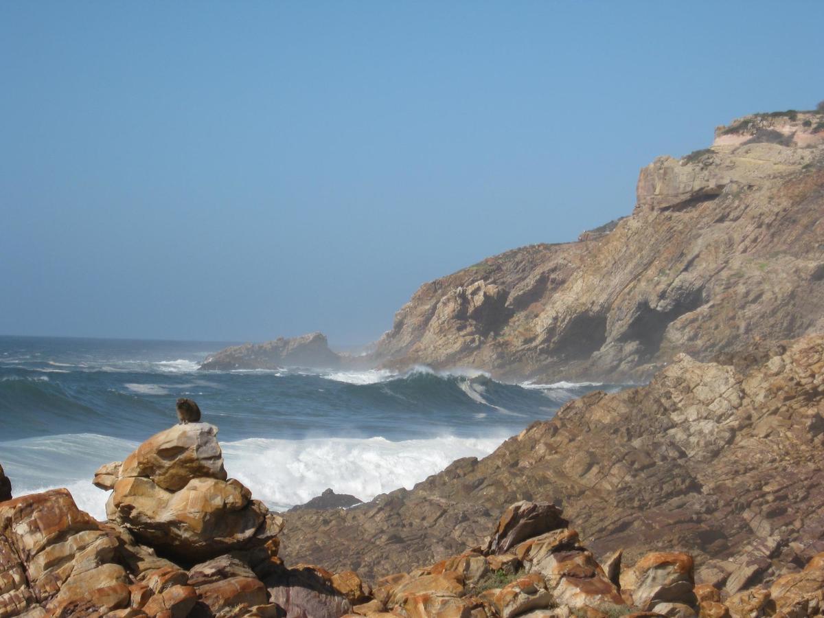 The Point Hotel & Spa Mossel Bay Exteriör bild
